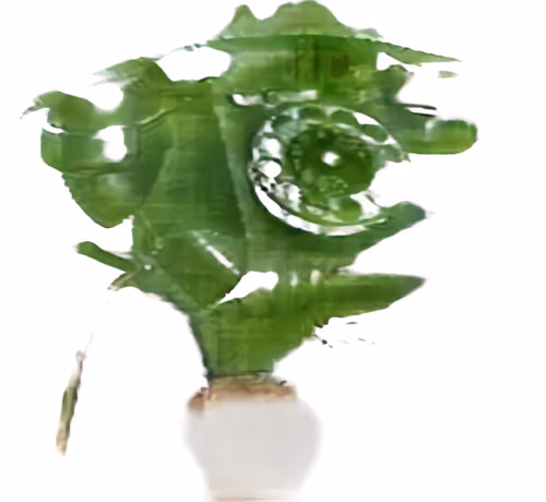 Item #34571563386459127761261740546366153221129147098234432782485651007157798174721 Media