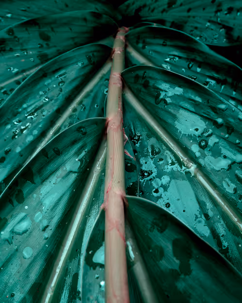 Item #92832966371676209507512944215223129210306146836979652534106182207699882606593 Media