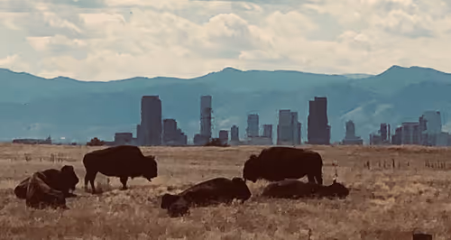 Item #92166826698204174240514342454097958627682484173959784428992447035914691018753 Media