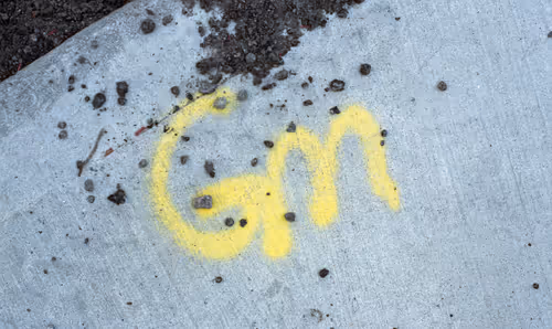 Item #58883327943218482885511625451962166109229848641575055586606686592738439200769 Media