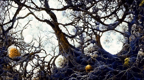 Item #113201261187000282013095878673268230273062496831247709512520102518800252928001 Media