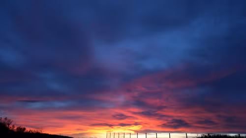 Item #2000868109755547553435816796469402615608116786277845220733607677031759216641 Media