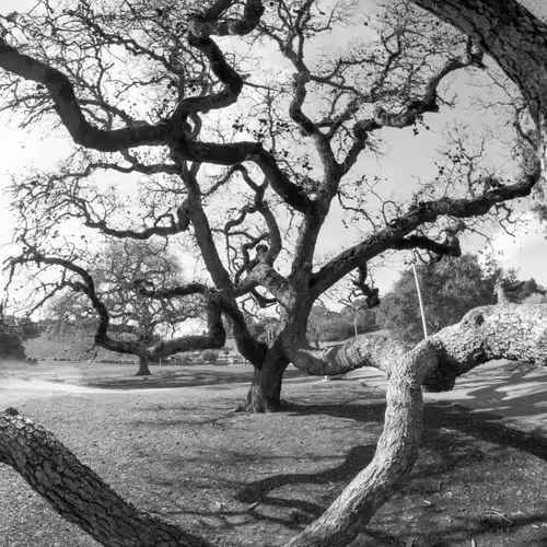 Item #82666956697073059935250471949023285858624698901330742305278420798695089897473 Media