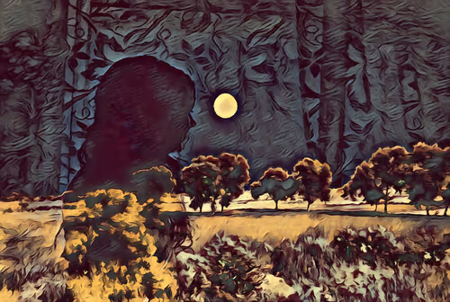 Item #5929750499633082115139289543257221213322642509502930532570952054626928558081 Media