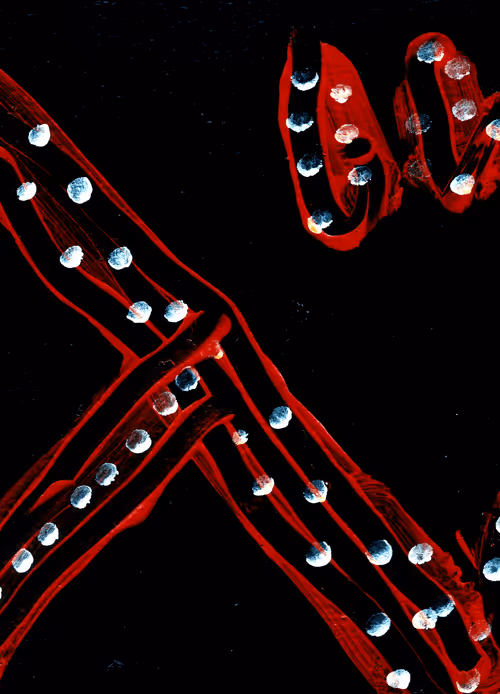 Item #77837778009088564188174628045169397065653229955612462896383264942837775466497 Media