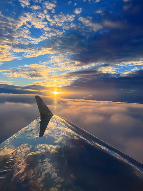 Item #86923787977647636782275552992235615204497706031686633546968794311250440880129 Media