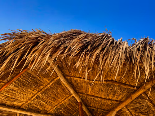 Item #33261409280827848890636833313665954217119010705453802455397167670092544081924 Media