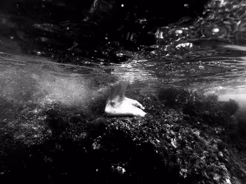 Item #48785457818066054559368395541392267450679449328533831279358886285354872078337 Media