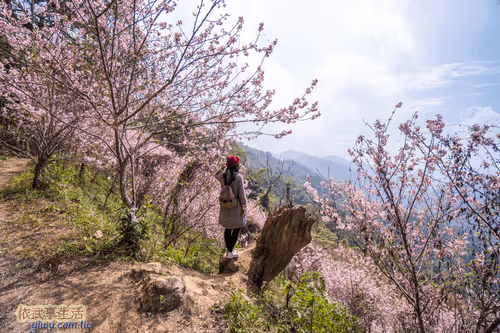 Item #100744422725674417057824683306763013505668843176654858816283484008798327144449 Media