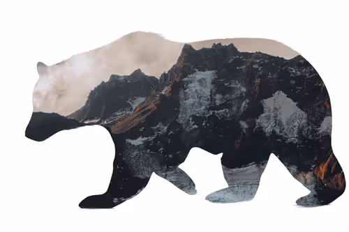 Item #108690322610415126541494735983946097923387489104083024879500461955117509246977 Media