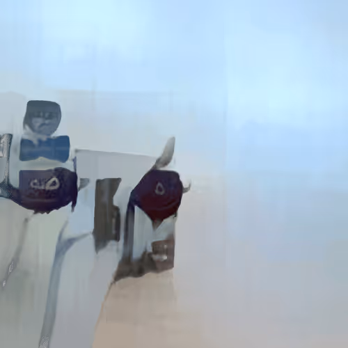 Item #36719803494851039880066145456282917715064893508771189490274221180933623513089 Media