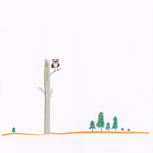 23218060550821745609800623272602319113326301581644647180881602210823411859457