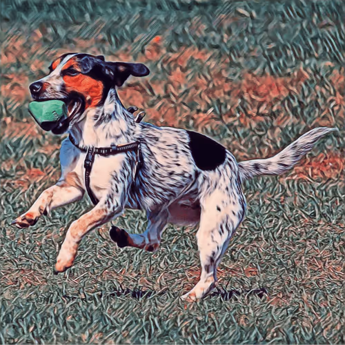 Item #51313302132644519913343847646347811445510524411913136629935893364510287724545 Media