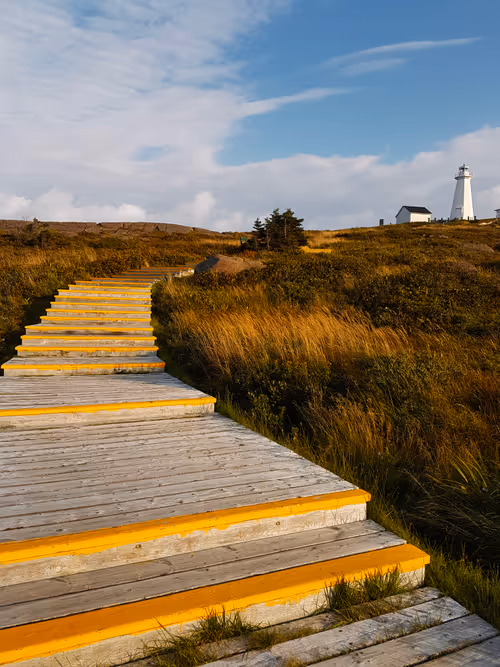 Item #33261409280827848890636833313665954217119010705453802455397167712973497565192 Media