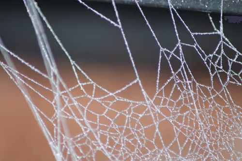 Item #51124555051901614330264480006545612592022390906904121289505624551413608611841 Media