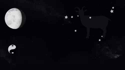 Item #1365942464503178168797128467950790374030030309817403446071139546934653485057 Media