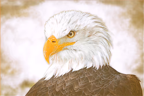 Item #75164984898551115248887010361709320867309151549896276985250492485320319172609 Media