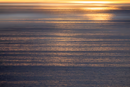 Item #56478856313177005722278897063070921997898574043466539873768020135015415283713 Media