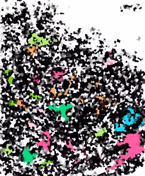 Item #88202910965868794382464397148217048468982624307792374740860470060189321527297 Media