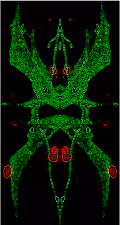 Item #88178403044767415627587356713480527064190058528292718512072958379970908913665 Media