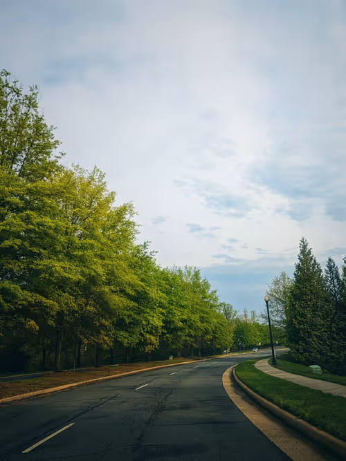 Item #27225571184788260604984224055988062336080108645856878845642875103800780128257 Media