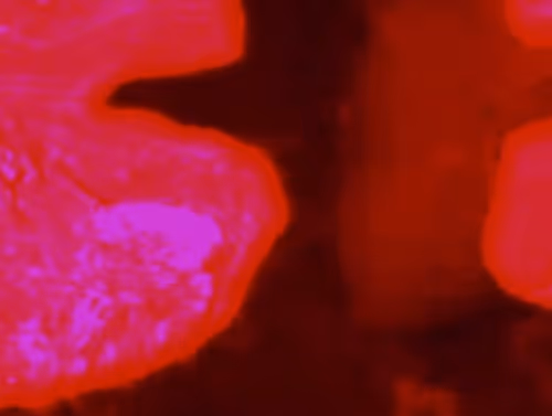 Item #77872753759156438254169300825103213799739112899920337435648817443625871867905 Media