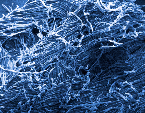 Item #115505927728344181025262329658899620468765138243295584093365708401198822850561 Media