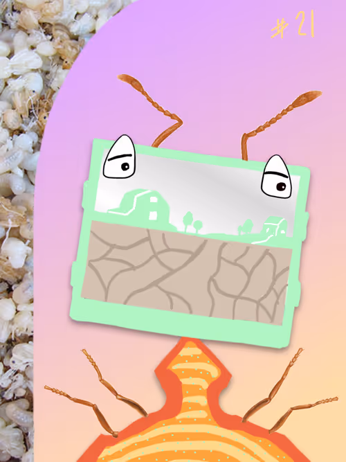 Item #110468881971058916779871504283870196898525820325896358126582988595606935568385 Media