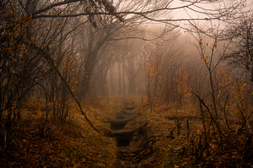 Item #27268559498061748325784621046965527840934976554079147599746578480352280444929 Media