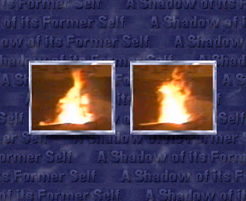 Item #80166608668082721631180492354978057980375363955808112573101485786838232727553 Media