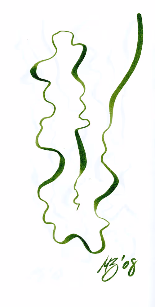 Item #25372994447545615556595153878681400140350305593099141563031706174805447278593 Media