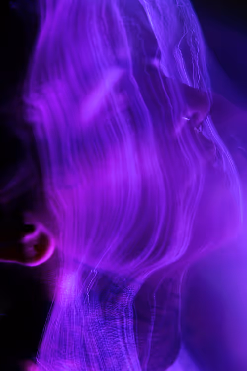 Item #76431782257273330692581047290222378292869117090042347173899293436632138514433 Media