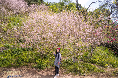 Item #100744422725674417057824683306763013505668843176654858816283484004400280633345 Media