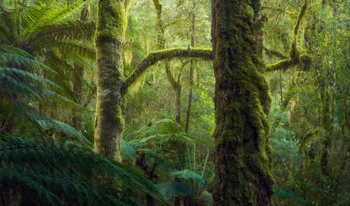 Item #112241139933589088795661151874445265147488650533013612432304602895733221228545 Media