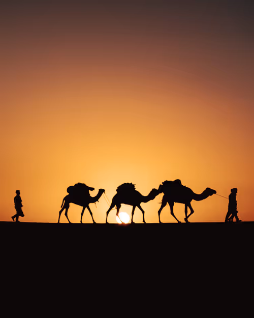 Item #86385672013831146465548650078662187187055141490040132723525304228142393589761 Media