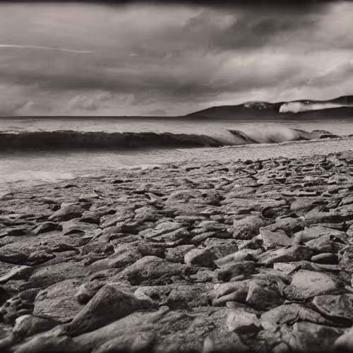 Item #83280107070391697529376828382192850557060699628127089263691584842073450217473 Media