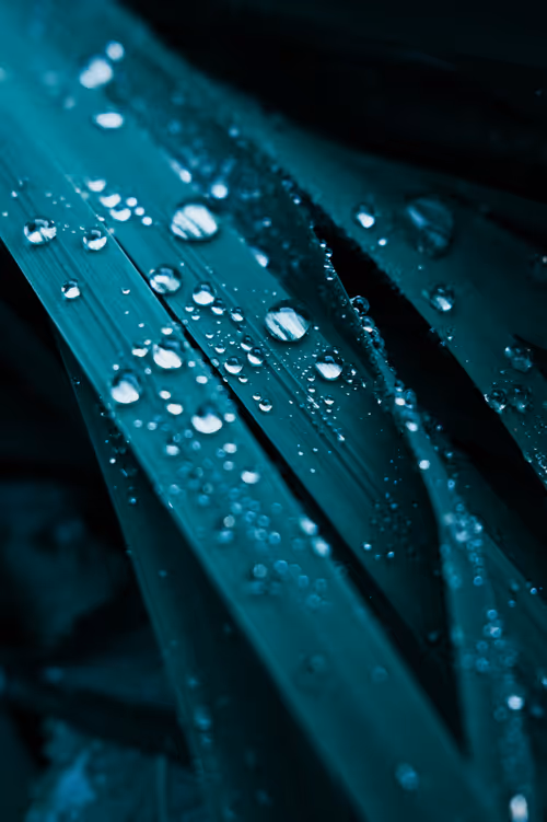 Item #103066555971611021134149055345018438449666255846358212838134356849884804415489 Media