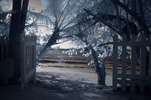 Item #84630877256389803822544637333020280854396826404545033634090050564139505418241 Media