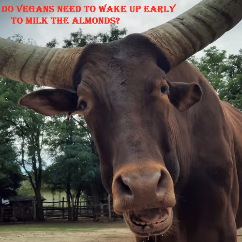 51313302132644519913343847646347811445510524411913136629935896321097054814209