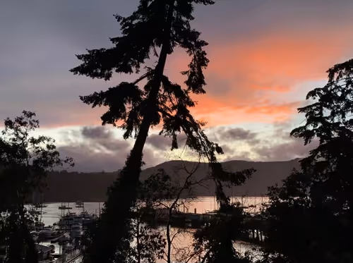 Item #33261409280827848890636833313665954217119010705453802455397167650301334781956 Media