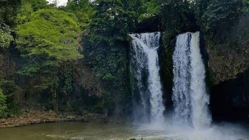 Item #103842889380389490974237418585488476385248358379383266595214697773291179868161 Media