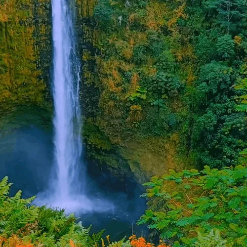 Item #19755943560703832549694930259889174281342606690861395808005517937643339382785 Media