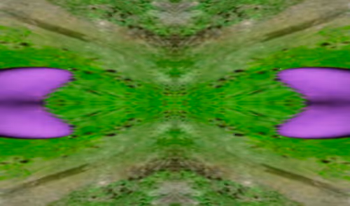 Item #112694338187096677512520828741778326389672714337612276641250161955372607209473 Media