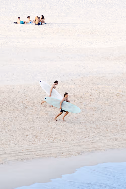 Item #113106517295801719263541253605561877557080643982296006819616818962991616622593 Media