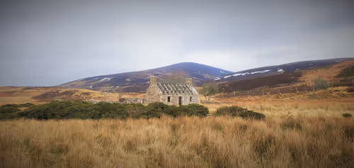 Item #13473500973687785898796463285955460631407349614781281766798596458528366395393 Media