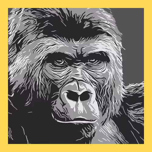 Item #102858366916164094883982075237356350865064096587083272758341832915473569677313 Media