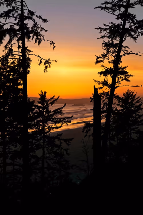 Item #35061641611689379192582426000643875559766385967615314722725717894362524811265 Media