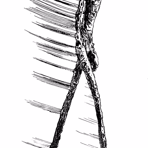 Item #46308592936825769109644823769625478364768345526245600070066391421256520957957 Media