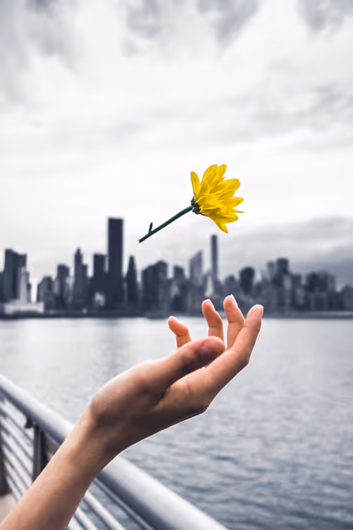 Item #17236629451747294807737001379297884766294275287106215027979615281837932281857 Media