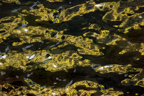 Item #81441334517361708208394031135700195474624799851237506988747108035966458134529 Media